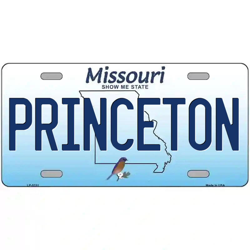 Princeton Missouri Metal Sign