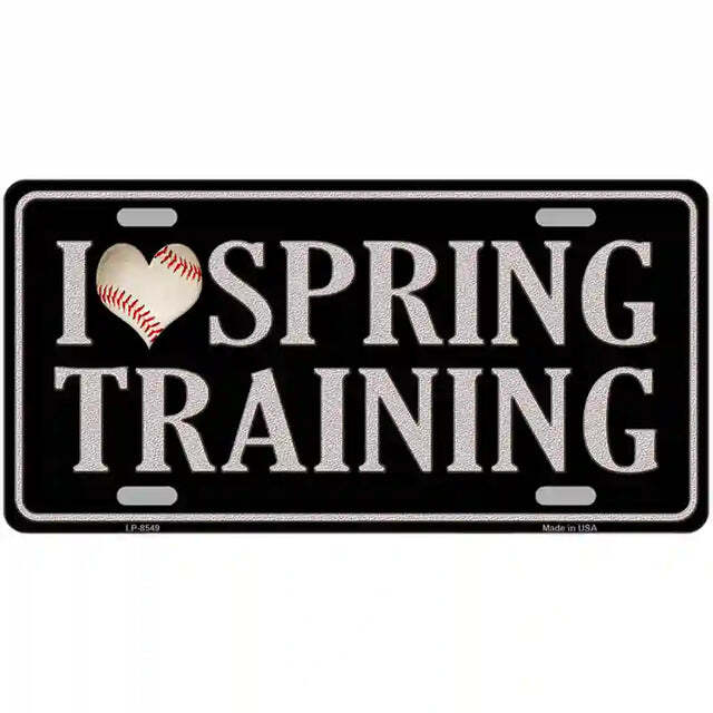 I Love Spring Training Metal Sign