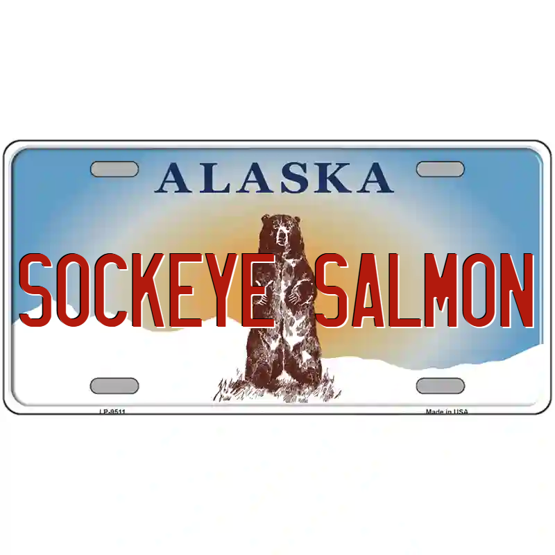 Sockeye Salmon Alaska Metal Sign