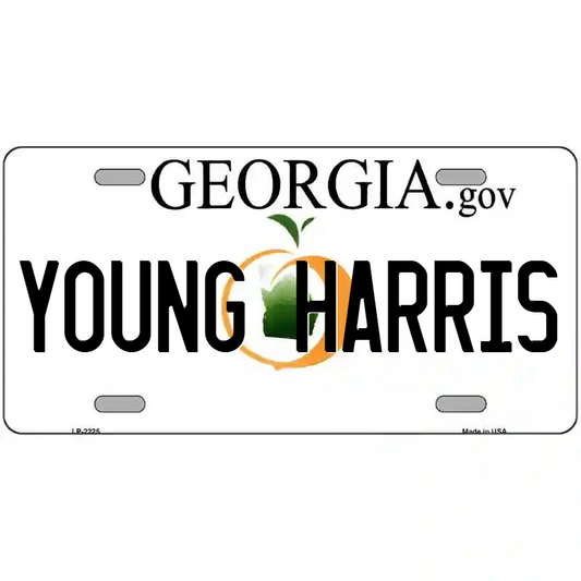 Young Harris Georgia Metal Sign