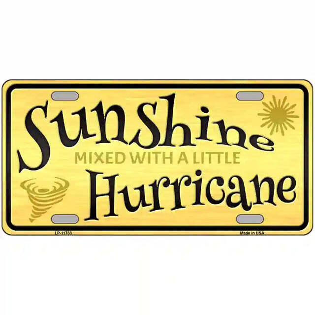 Sunshine Mixed With a Little Hurricane Metal Sign