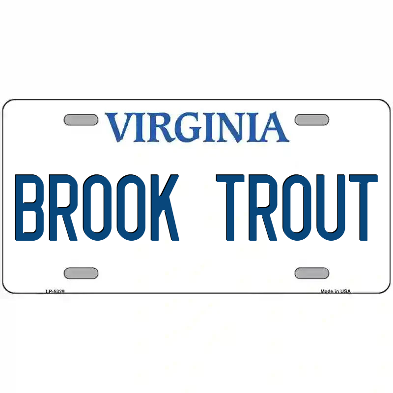 Brook Trout Virginia Metal Sign