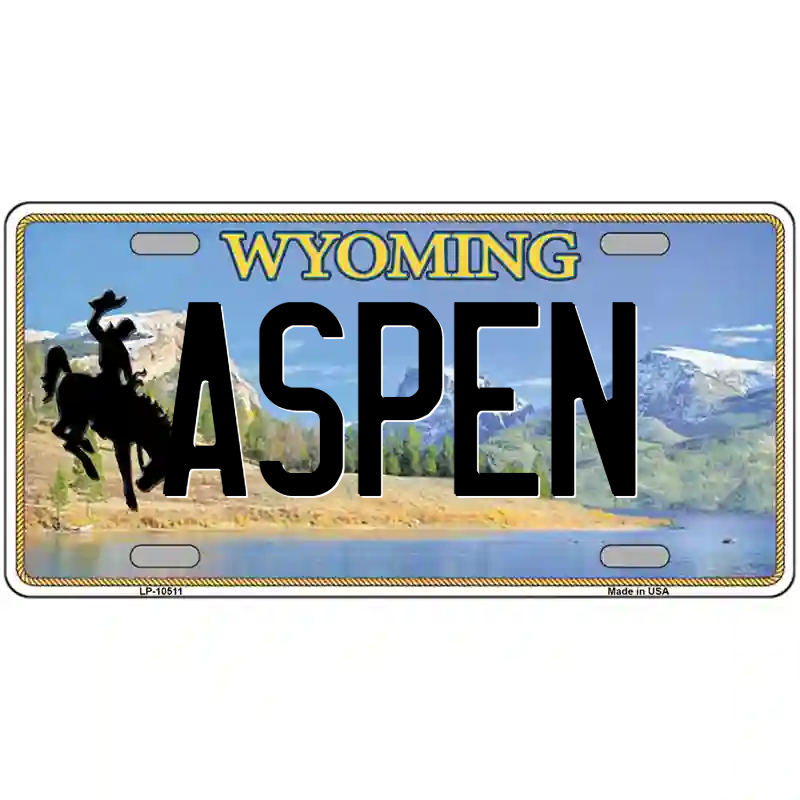 Aspen Wyoming Metal Sign