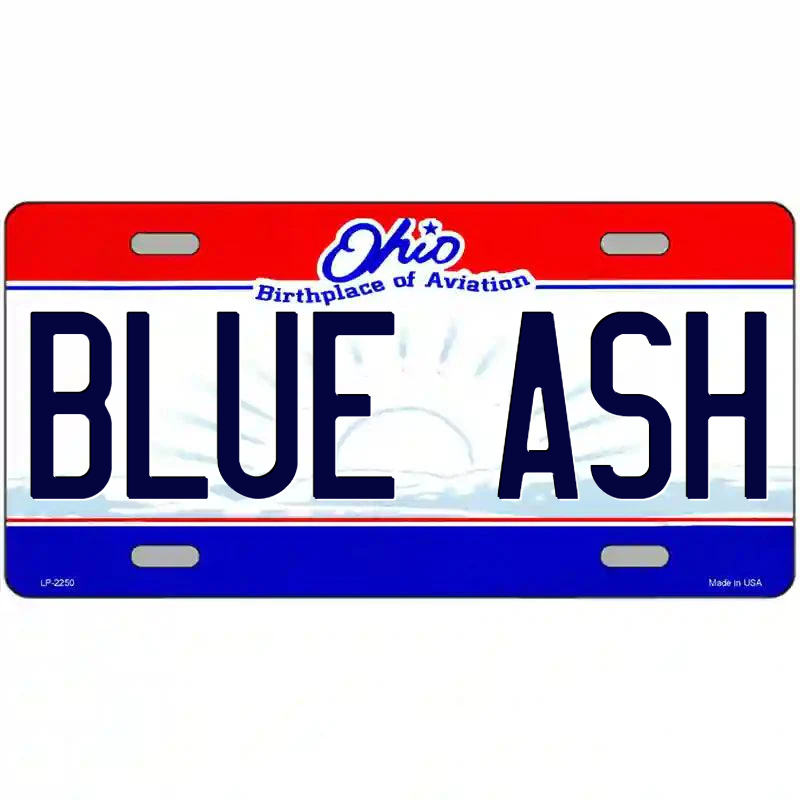 Blue Ash Ohio Metal Sign