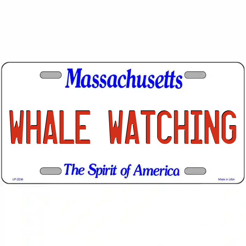 Whale Watching Massachusetts Metal Sign