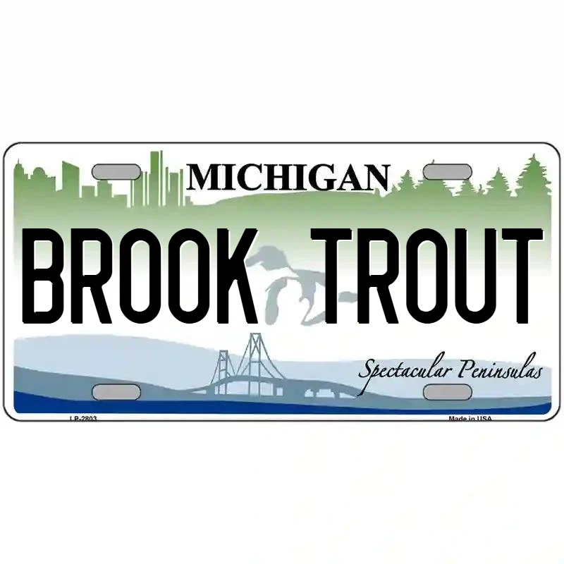 Brook Trout Michigan Metal Sign