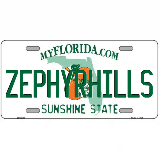 ZephyrhillsFlorida Metal Sign