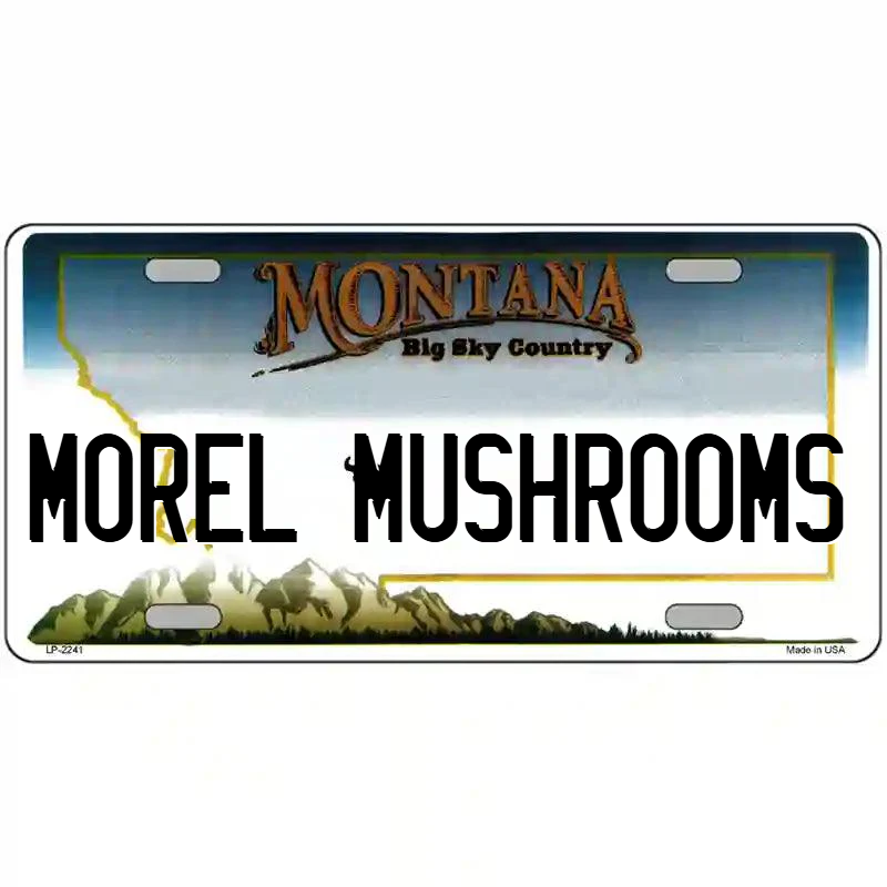 Morel Mushrooms Montana Metal Sign