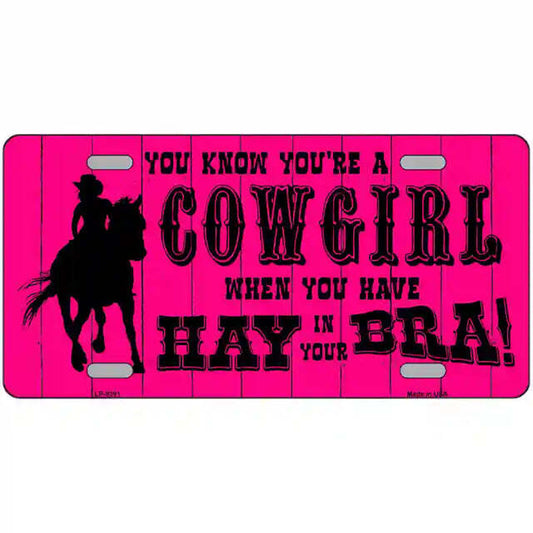 You Know You're a Cowgirl When You Have Hay in Your Bra Metal Sign