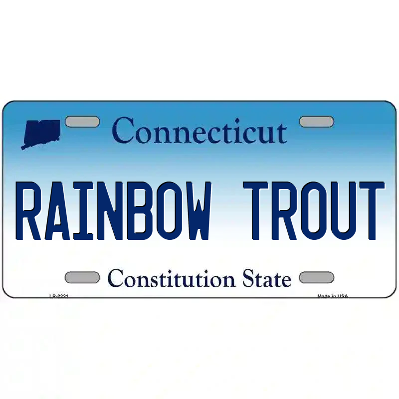 Rainbow Trout Connecticut Metal Sign