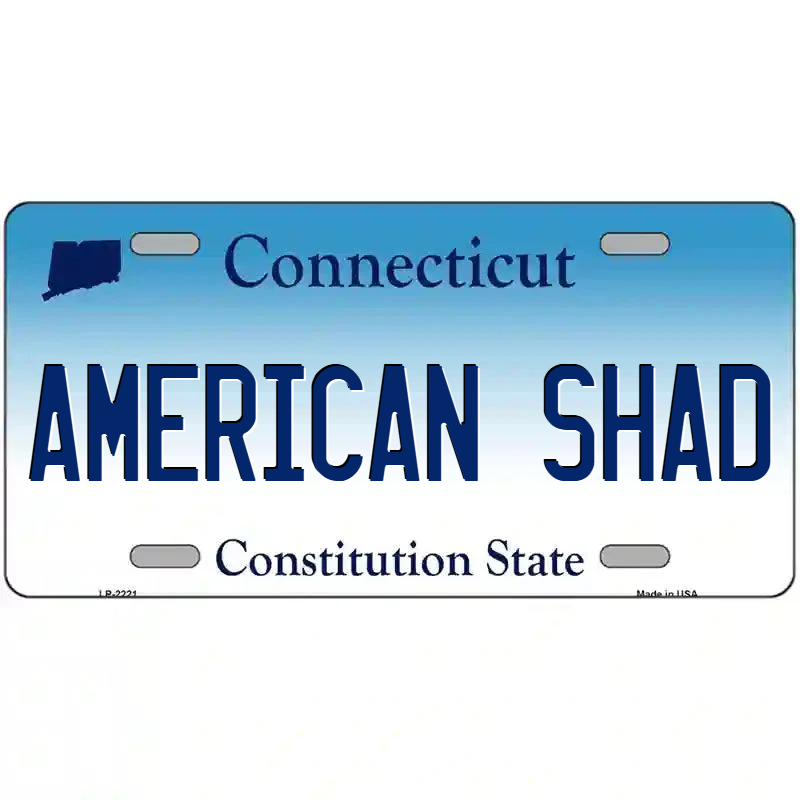 American Shad Connecticut Metal Sign