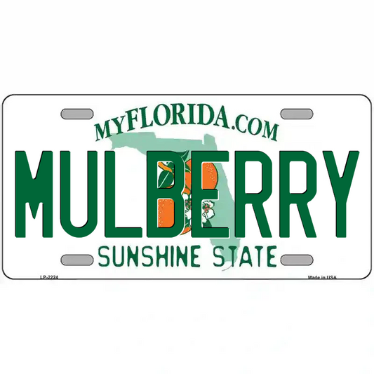 Mulberry Florida Metal Sign
