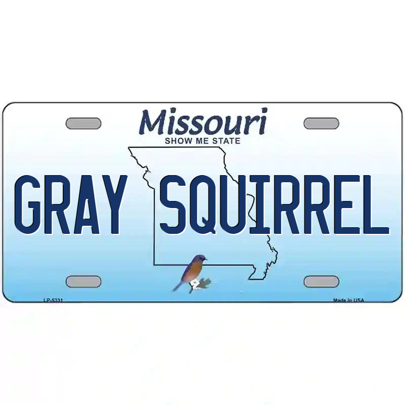 Gray Squirrel Missouri Metal Sign