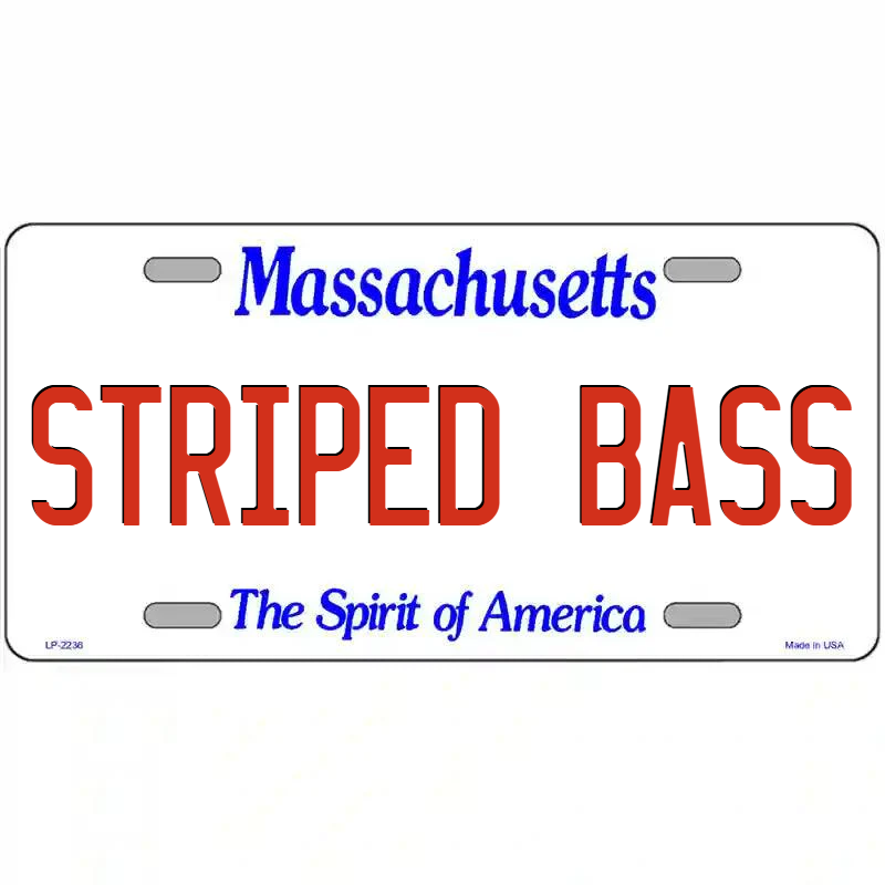 Striped Bass Massachusetts Metal Sign