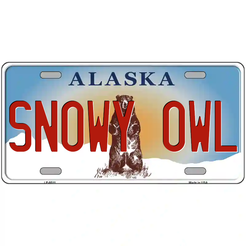 Snowy Owl Alaska Metal Sign