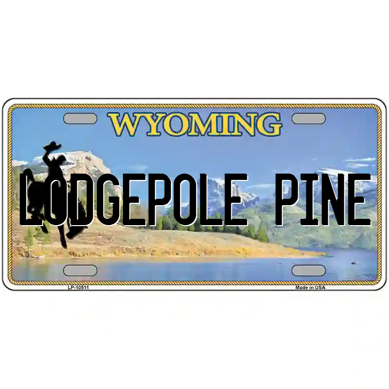 Lodgepole Pine Wyoming Metal Sign