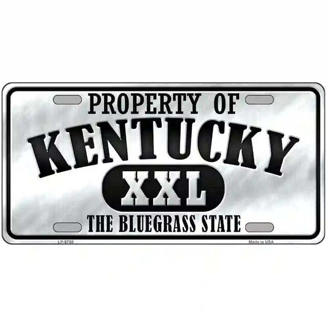 Property of Kentucky The Bluegrass State Metal Sign