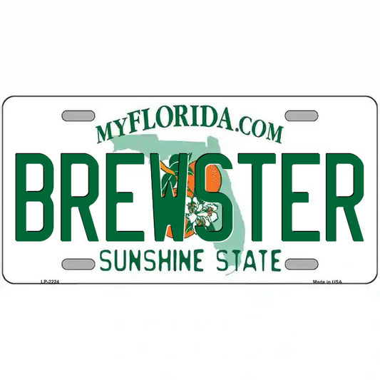 Brewster Florida Metal SIgn