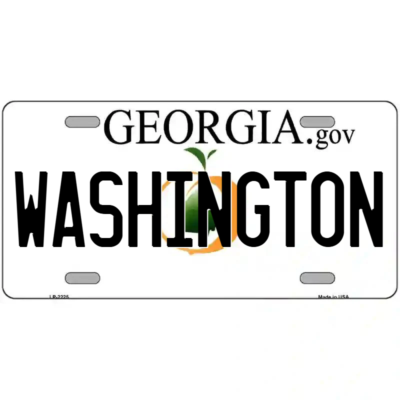 Washington Georgia Metal Sign