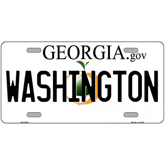 Washington Georgia Metal Sign