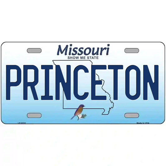 Princeton Missouri Metal Sign