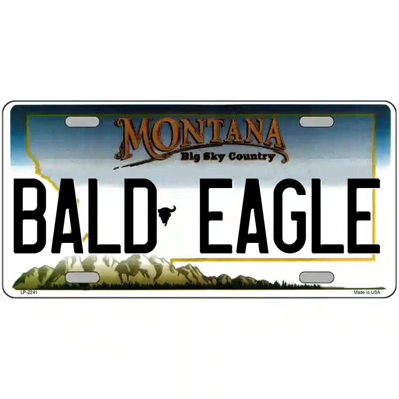 Bald Eagle Montana Metal Sign