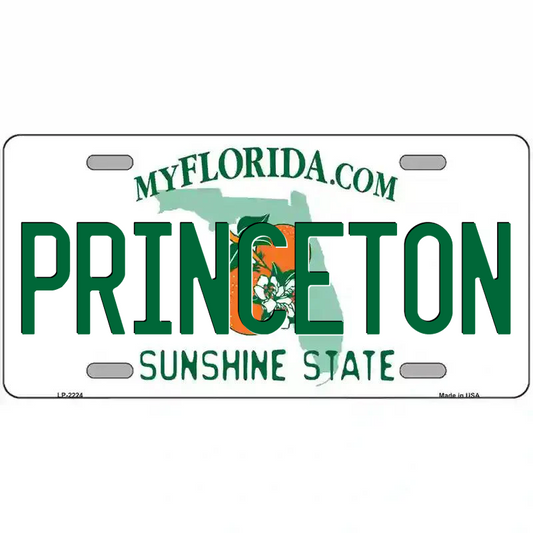 Princeton Florida Metal Sign