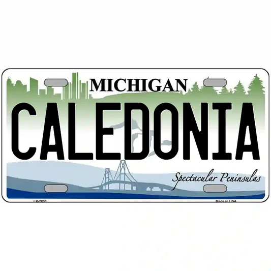 Caledonia Michigan Metal Sign