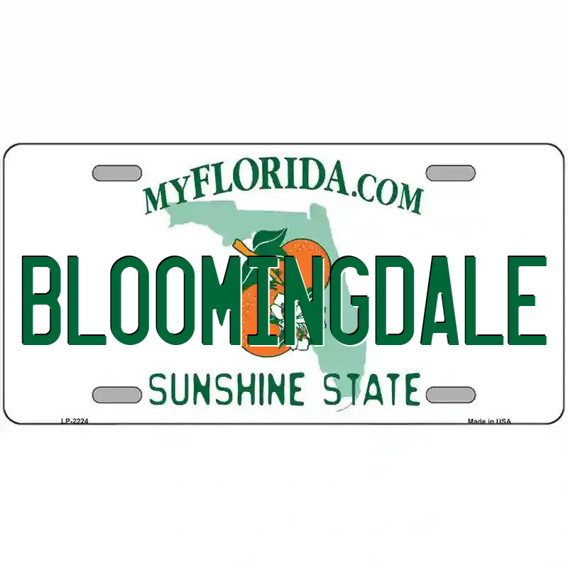 Bloomingdale Florida Metal Sign
