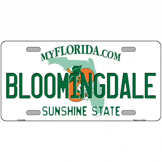 Bloomingdale Florida Metal Sign