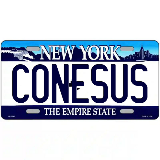 Conesus New York Blue Metal Sign