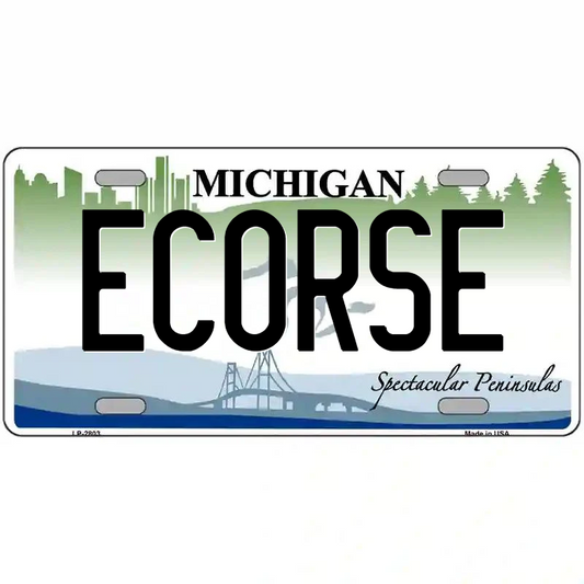Ecorse Michigan Metal Sign