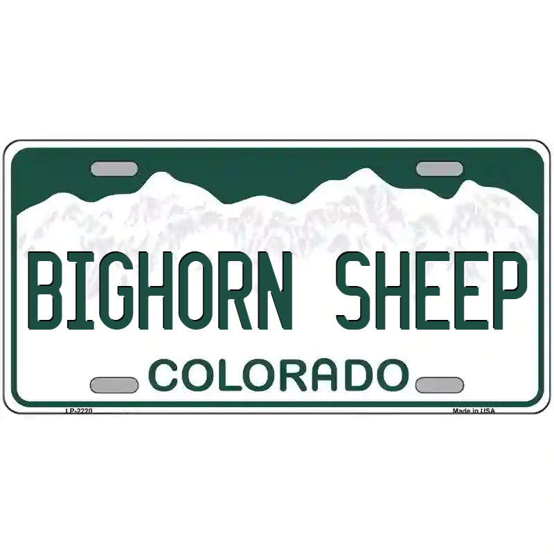 Bighorn Sheep Colorado Metal Sign