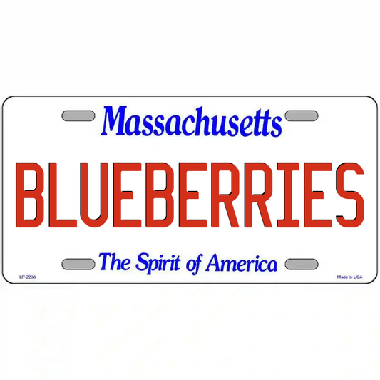 Blueberries Massachusetts Metal Sign