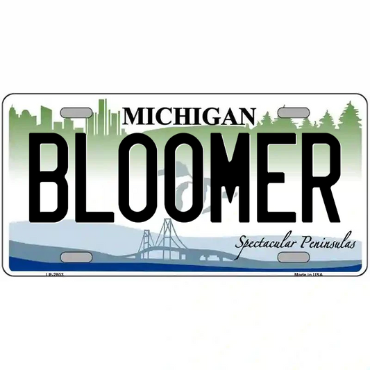 Bloomer Michigan Metal Sign