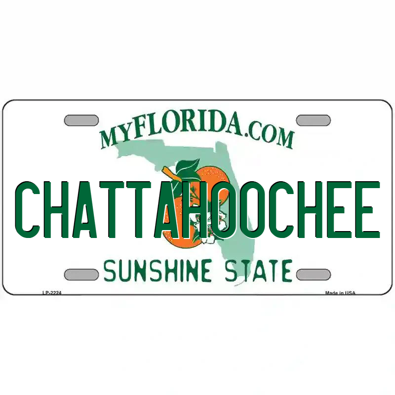 Chattahoochee Florida Metal Sign