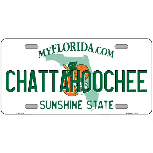 Chattahoochee Florida Metal Sign