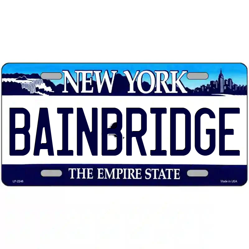 Bainbridge New York Blue Metal Sign