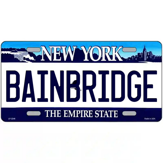 Bainbridge New York Blue Metal Sign