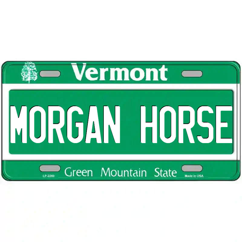 Morgan Horse Vermont Metal Sign