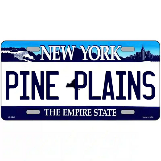 Pine Plains New York Blue Metal Sign