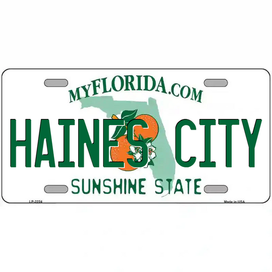 Haines City Florida Metal Sign