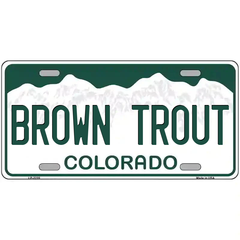 Brown Trout Colorado Metal Sign