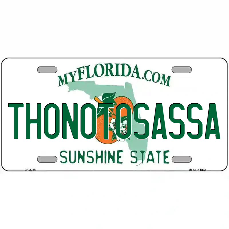 Thonotosassa Florida Metal Sign