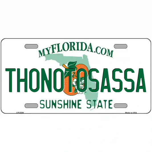 Thonotosassa Florida Metal Sign