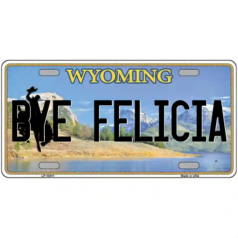 Bye Felicia Wyoming Metal Sign