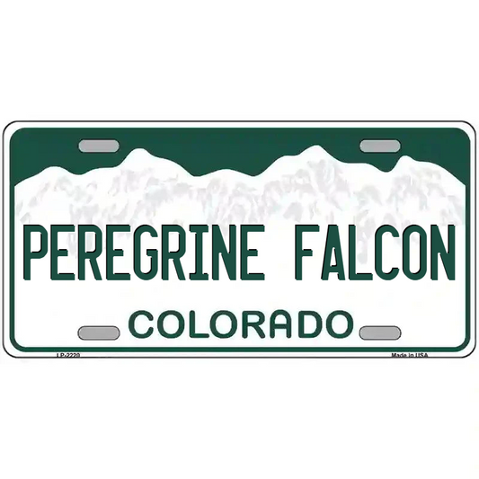 Peregrine Falcon Colorado Metal Sign