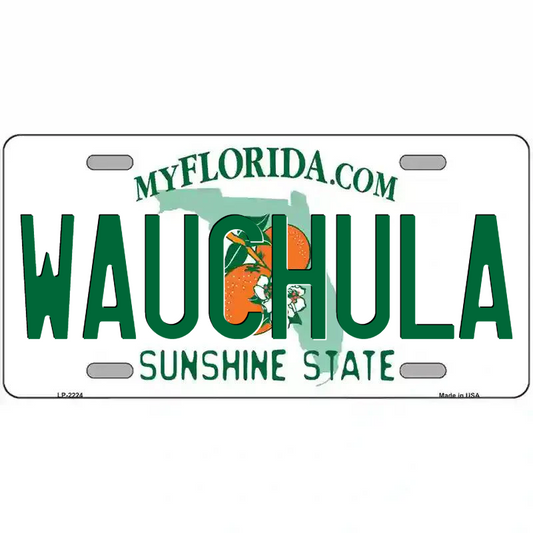 Wauchula Florida Metal Sign