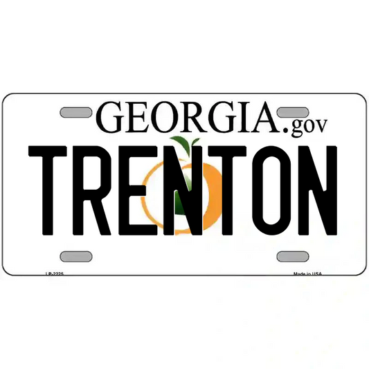 Trenton Georgia Metal Sign