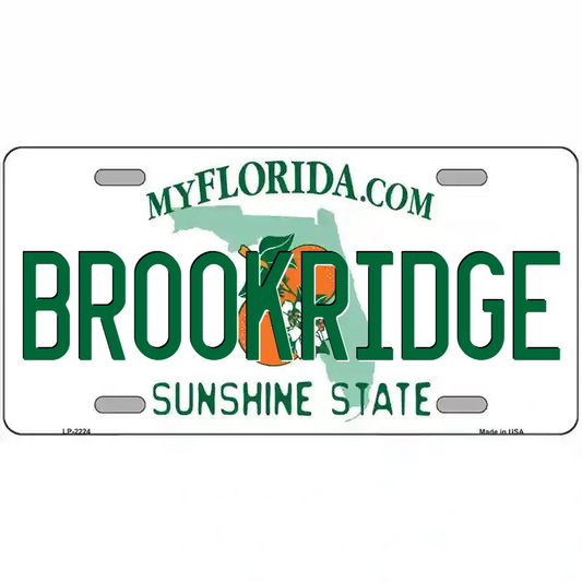 Brookridge Florida Metal Sign